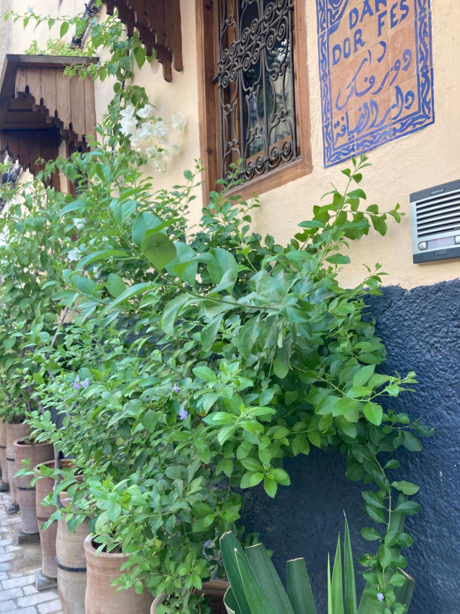 Dar D'Or Fes Hotel Ngoại thất bức ảnh
